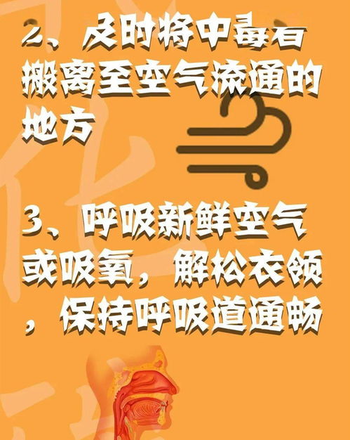消防安全心中記，平平安安過(guò)大年——系列三：消防安全全攻略